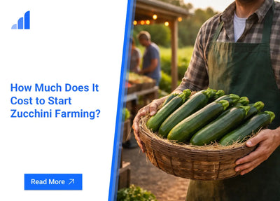 How Much Does It Cost to Start Zucchini Farming?