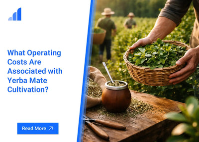 What Operating Costs Are Associated with Yerba Mate Cultivation?