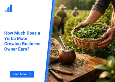 How Much Does a Yerba Mate Growing Business Owner Earn?
