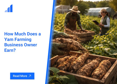 How Much Does a Yam Farming Business Owner Earn?