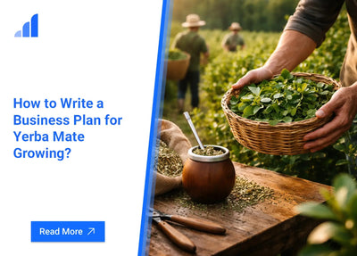 How to Write a Business Plan for Yerba Mate Growing?