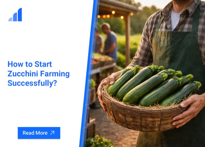 How to Start Zucchini Farming Successfully?