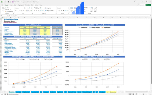 grocery delivery financial model scenarios analysis bplant