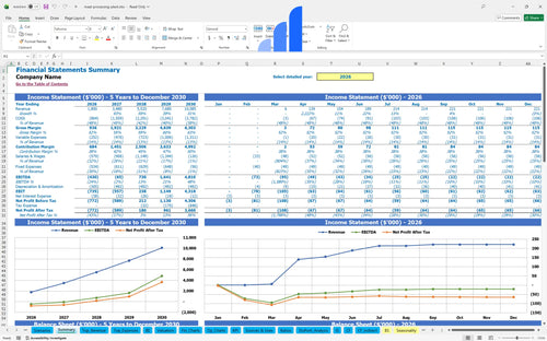 meat processing plant financial model financial summary bplant