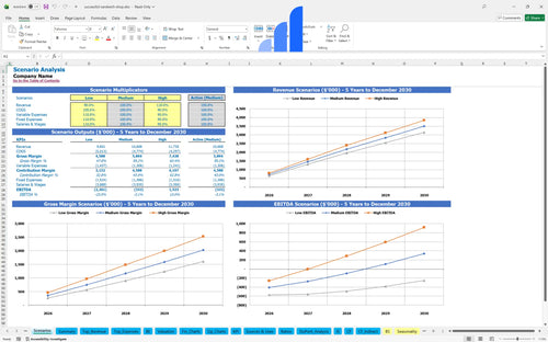successful sandwich shop financial model scenarios analysis bplant