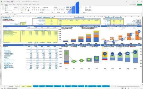 womens self defense financial model dashboard bplant