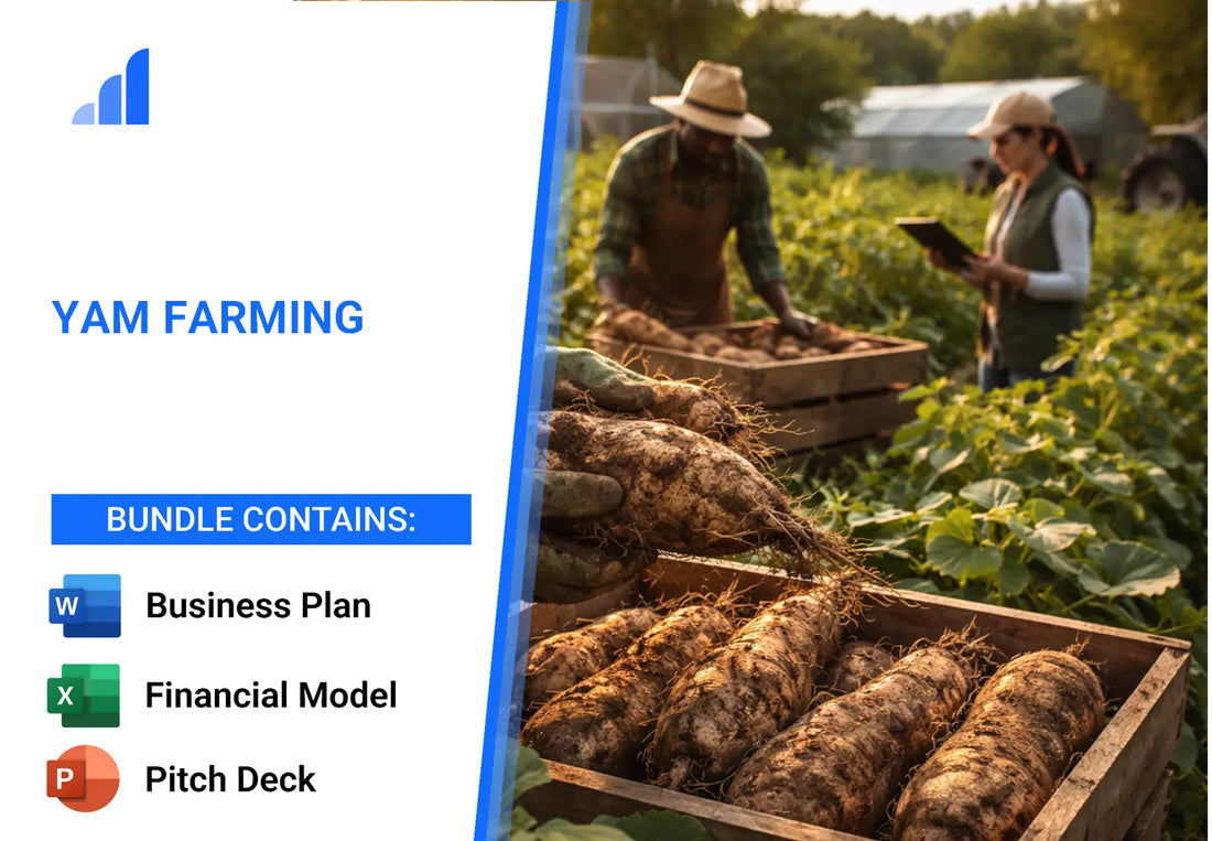 Yam Farming Financial Model